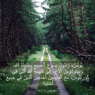 Picture 03 - ٢ كورنثوس 1:1 AVD - بُولُسُ، رَسُولُ يَسُوعَ - Bible Verse Picture