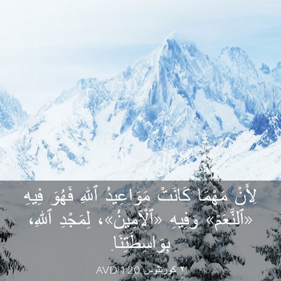 Picture 03 - ٢ كورنثوس 1:20 AVD - لِأَنْ مَهْمَا كَانَتْ - Bible Verse Picture