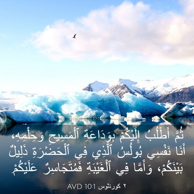 Picture 03 - ٢ كورنثوس 10:1 AVD - ثُمَّ أَطْلُبُ إِلَيْكُمْ - Bible Verse Picture