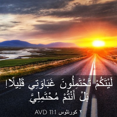 Picture 03 - ٢ كورنثوس 11:1 AVD - لَيْتَكُمْ تَحْتَمِلُونَ - Bible Verse Picture