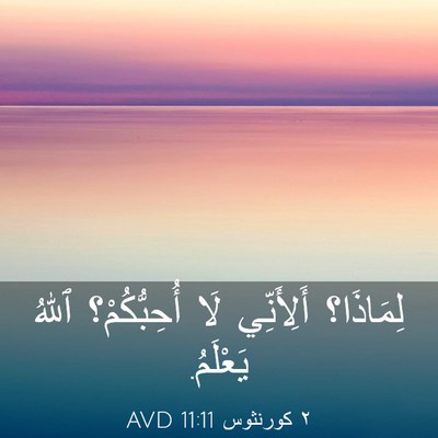 Picture 03 - ٢ كورنثوس 11:11 AVD - لِمَاذَا؟ أَلِأَنِّي لَا - Bible Verse Picture