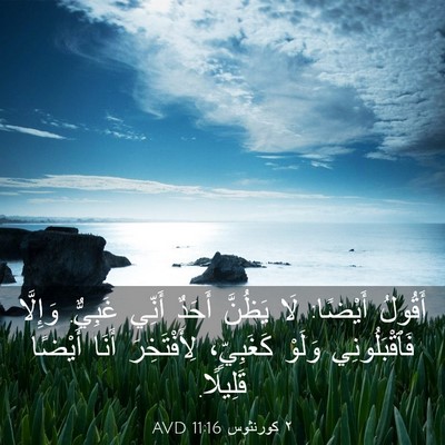 Picture 03 - ٢ كورنثوس 11:16 AVD - أَقُولُ أَيْضًا: لَا - Bible Verse Picture