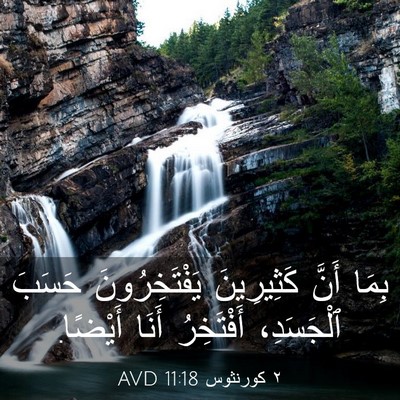 Picture 03 - ٢ كورنثوس 11:18 AVD - بِمَا أَنَّ كَثِيرِينَ - Bible Verse Picture
