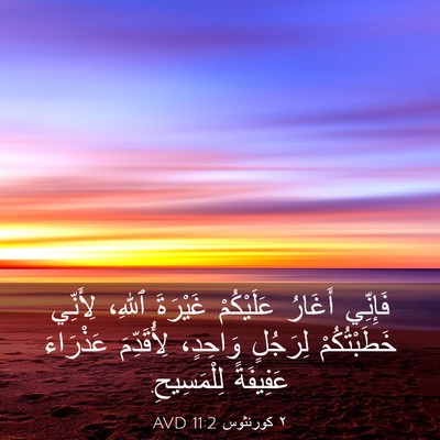 Picture 03 - ٢ كورنثوس 11:2 AVD - فَإِنِّي أَغَارُ - Bible Verse Picture