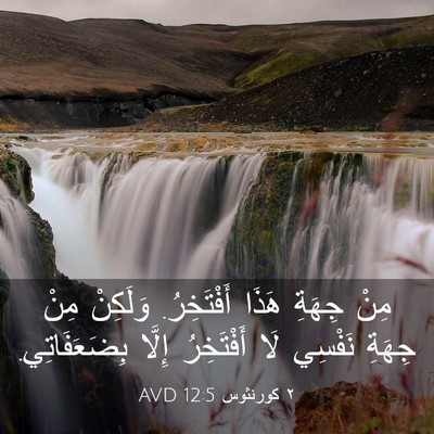 Picture 03 - ٢ كورنثوس 12:5 AVD - مِنْ جِهَةِ هَذَا - Bible Verse Picture