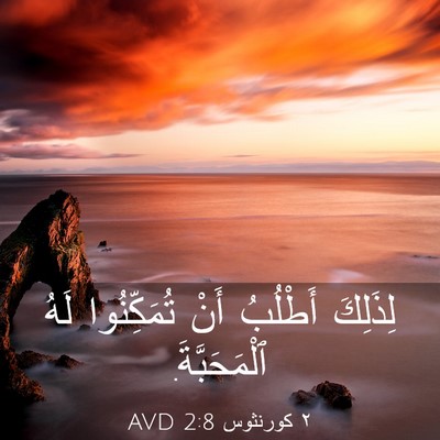 Picture 03 - ٢ كورنثوس 2:8 AVD - لِذَلِكَ أَطْلُبُ أَنْ - Bible Verse Picture