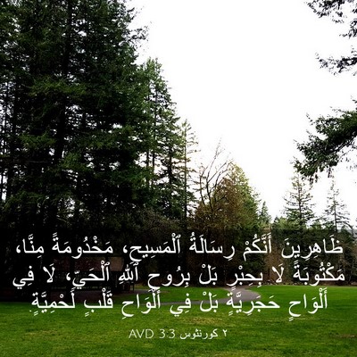 Picture 03 - ٢ كورنثوس 3:3 AVD - ظَاهِرِينَ أَنَّكُمْ - Bible Verse Picture