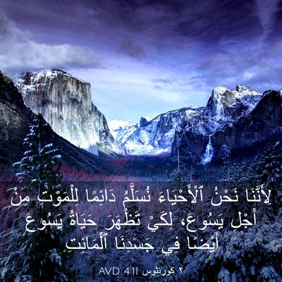Picture 03 - ٢ كورنثوس 4:11 AVD - لِأَنَّنَا نَحْنُ - Bible Verse Picture