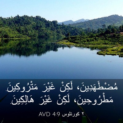 Picture 03 - ٢ كورنثوس 4:9 AVD - مُضْطَهَدِينَ، لَكِنْ - Bible Verse Picture