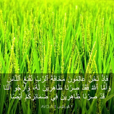 Picture 03 - ٢ كورنثوس 5:11 AVD - فَإِذْ نَحْنُ عَالِمُونَ - Bible Verse Picture