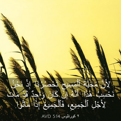 Picture 03 - ٢ كورنثوس 5:14 AVD - لِأَنَّ مَحَبَّةَ - Bible Verse Picture
