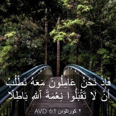 Picture 03 - ٢ كورنثوس 6:1 AVD - فَإِذْ نَحْنُ عَامِلُونَ - Bible Verse Picture