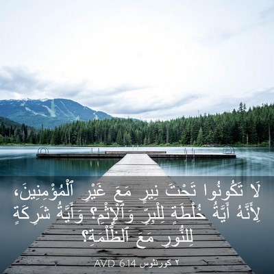 Picture 03 - ٢ كورنثوس 6:14 AVD - لَا تَكُونُوا تَحْتَ نِيرٍ - Bible Verse Picture