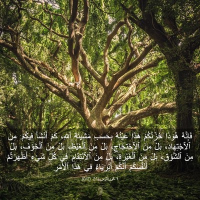 Picture 03 - ٢ كورنثوس 7:11 AVD - فَإِنَّهُ هُوَذَا - Bible Verse Picture