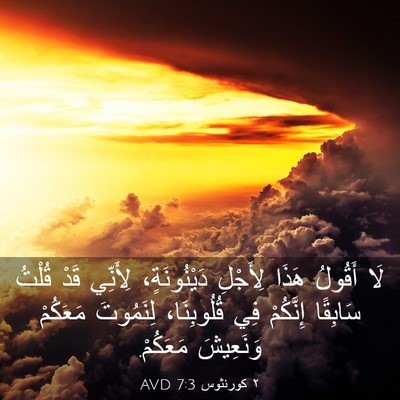 Picture 03 - ٢ كورنثوس 7:3 AVD - لَا أَقُولُ هَذَا لِأَجْلِ - Bible Verse Picture