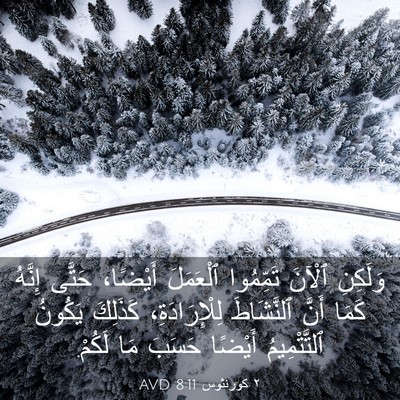 Picture 03 - ٢ كورنثوس 8:11 AVD - وَلَكِنِ ٱلْآنَ تَمِّمُوا - Bible Verse Picture