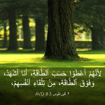 Picture 03 - ٢ كورنثوس 8:3 AVD - لِأَنَّهُمْ أَعْطَوْا - Bible Verse Picture