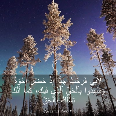Picture 03 - ٣ يوحنَّا 1:3 AVD - لِأَنِّي فَرِحْتُ جِدًّا - Bible Verse Picture