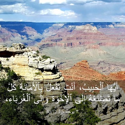 Picture 03 - ٣ يوحنَّا 1:5 AVD - أَيُّهَا ٱلْحَبِيبُ، - Bible Verse Picture
