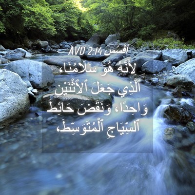Picture 04 - أفَسُس 2:14 AVD - لِأَنَّهُ هُوَ - Bible Verse Picture