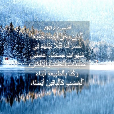 Picture 04 - أفَسُس 2:3 AVD - ٱلَّذِينَ نَحْنُ أَيْضًا - Bible Verse Picture