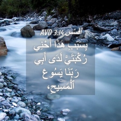 Picture 04 - أفَسُس 3:14 AVD - بِسَبَبِ هَذَا أَحْنِي - Bible Verse Picture