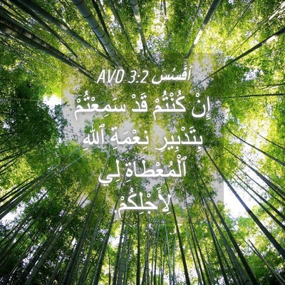 Picture 04 - أفَسُس 3:2 AVD - إِنْ كُنْتُمْ قَدْ - Bible Verse Picture