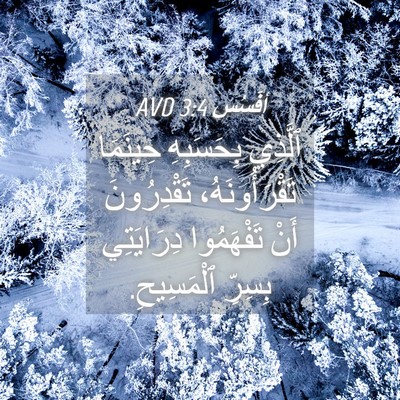 Picture 04 - أفَسُس 3:4 AVD - ٱلَّذِي بِحَسَبِهِ - Bible Verse Picture