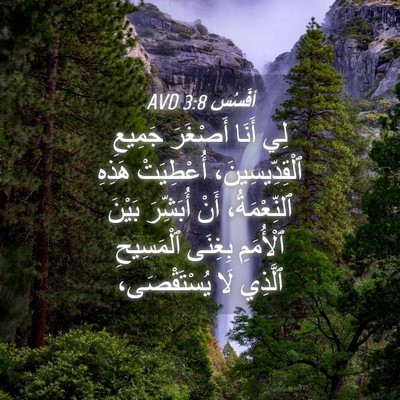 Picture 04 - أفَسُس 3:8 AVD - لِي أَنَا أَصْغَرَ جَمِيعِ - Bible Verse Picture
