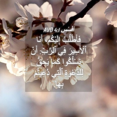 Picture 04 - أفَسُس 4:1 AVD - فَأَطْلُبُ إِلَيْكُمْ، - Bible Verse Picture