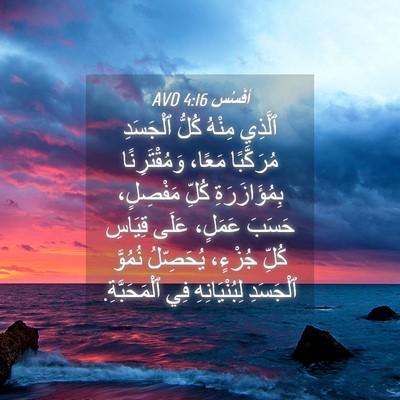 Picture 04 - أفَسُس 4:16 AVD - ٱلَّذِي مِنْهُ كُلُّ - Bible Verse Picture