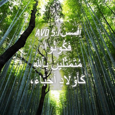 Picture 04 - أفَسُس 5:1 AVD - فَكُونُوا مُتَمَثِّلِينَ - Bible Verse Picture