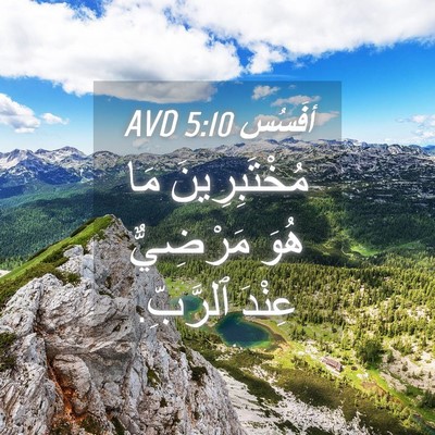 Picture 04 - أفَسُس 5:10 AVD - مُخْتَبِرِينَ مَا هُوَ - Bible Verse Picture