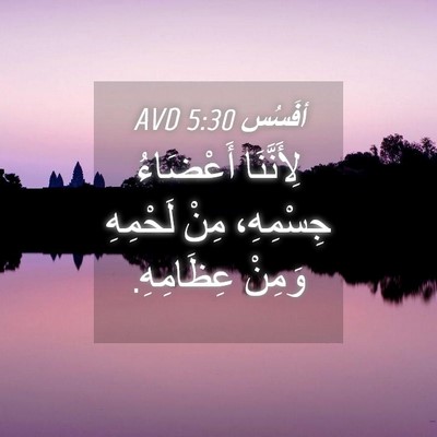 Picture 04 - أفَسُس 5:30 AVD - لِأَنَّنَا أَعْضَاءُ - Bible Verse Picture