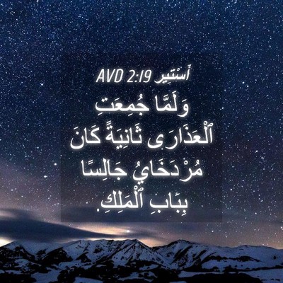 Picture 04 - أَسْتِير 2:19 AVD - وَلَمَّا جُمِعَتِ - Bible Verse Picture