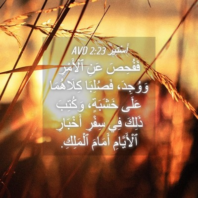 Picture 04 - أَسْتِير 2:23 AVD - فَفُحِصَ عَنِ ٱلْأَمْرِ - Bible Verse Picture