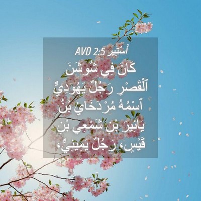 Picture 04 - أَسْتِير 2:5 AVD - كَانَ فِي شُوشَنَ - Bible Verse Picture