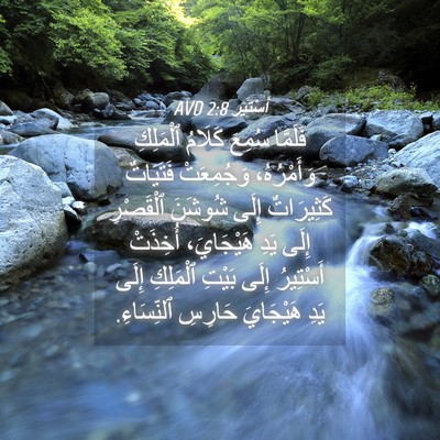 Picture 04 - أَسْتِير 2:8 AVD - فَلَمَّا سُمِعَ كَلَامُ - Bible Verse Picture