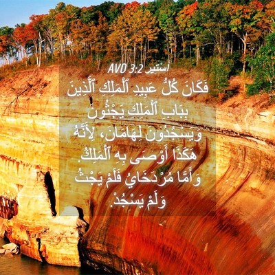 Picture 04 - أَسْتِير 3:2 AVD - فَكَانَ كُلُّ عَبِيدِ - Bible Verse Picture