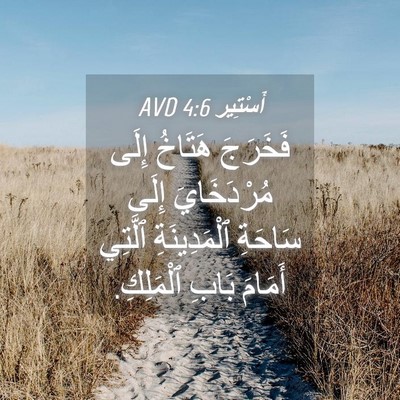 Picture 04 - أَسْتِير 4:6 AVD - فَخَرَجَ هَتَاخُ إِلَى - Bible Verse Picture