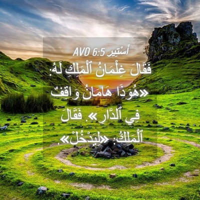 Picture 04 - أَسْتِير 6:5 AVD - فَقَالَ غِلْمَانُ - Bible Verse Picture