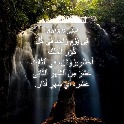 Picture 04 - أَسْتِير 8:12 AVD - فِي يَوْمٍ وَاحِدٍ فِي - Bible Verse Picture