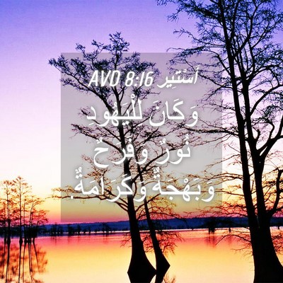 Picture 04 - أَسْتِير 8:16 AVD - وَكَانَ لِلْيَهُودِ نُورٌ - Bible Verse Picture