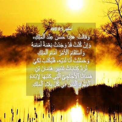 Picture 04 - أَسْتِير 8:5 AVD - وَقَالَتْ: «إِذَا حَسُنَ - Bible Verse Picture