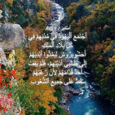 Picture 04 - أَسْتِير 9:2 AVD - ٱجْتَمَعَ ٱلْيَهُودُ فِي - Bible Verse Picture