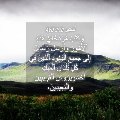 Picture 04 - أَسْتِير 9:20 AVD - وَكَتَبَ مُرْدَخَايُ - Bible Verse Picture