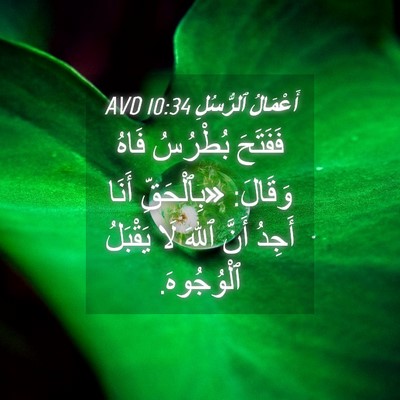 Picture 04 - أَعْمَالُ ٱلرُّسُلِ 10:34 AVD - فَفَتَحَ بُطْرُسُ فَاهُ - Bible Verse Picture