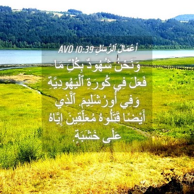 Picture 04 - أَعْمَالُ ٱلرُّسُلِ 10:39 AVD - وَنَحْنُ شُهُودٌ بِكُلِّ - Bible Verse Picture