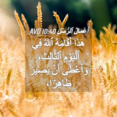 Picture 04 - أَعْمَالُ ٱلرُّسُلِ 10:40 AVD - هَذَا أَقَامَهُ ٱللهُ فِي - Bible Verse Picture