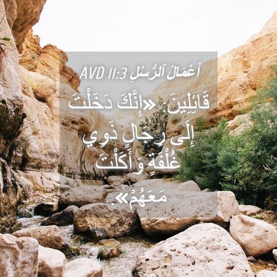 Picture 04 - أَعْمَالُ ٱلرُّسُلِ 11:3 AVD - قَائِلِينَ: «إِنَّكَ - Bible Verse Picture